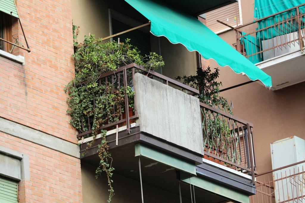 Il Lori Di Alessandra - Verona, Verona