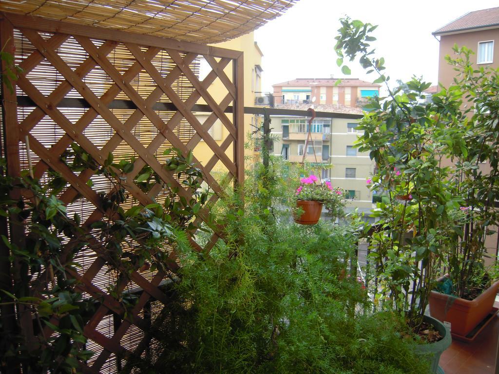 Il Lori Di Alessandra - Verona — Photos 2